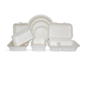 Disposable Tablewares