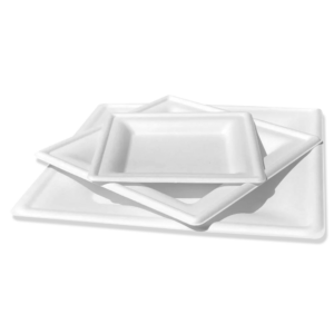 Bagasse Square Plates